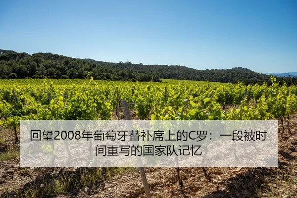 回望2008年葡萄牙替补席上的C罗：一段被时间重写的国家队记忆